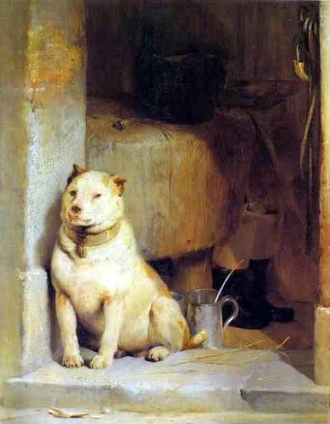 Hund 1